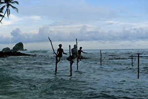 Sinelese Prints: Stilt fishermen fishing from their poles between Unawatuna