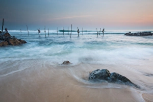 Fishermen Prints: Stilt fishermen, Mirissa, Sri Lanka, Asia