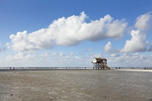 Stilt House Prints: Stilt houses on a beach, Sankt Peter Ording
