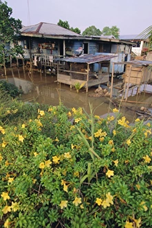 Stilt Prints: Stilt houses on the Rejang River