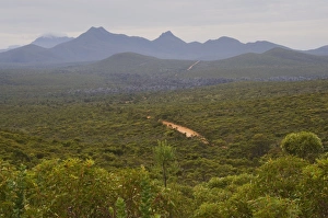 Images Dated 27th April 2008: Stirling Range, Stirling Range National Park, Western Australia, Australia, Pacific