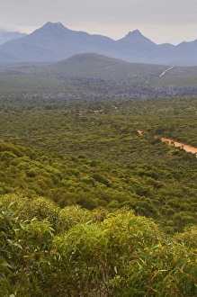 Images Dated 27th April 2008: Stirling Range, Stirling Range National Park, Western Australia, Australia, Pacific
