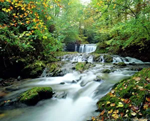 Water Fall Prints: Stock Ghyll Beck, Ambleside, Lake District, Cumbria, England
