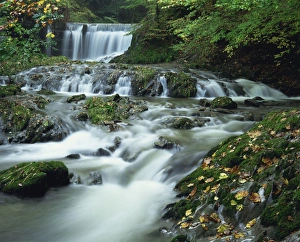 Stock Ghyll Beck, water in river tumbles over rocks, at Ambleside in the Lake District