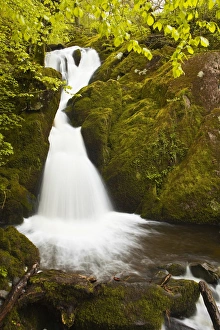Streams Prints: Part of Stock Ghyll Force waterfall near Ambleside
