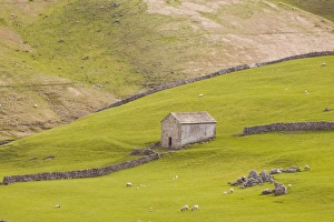 Barn Prints: A stone barn near to Littondale in the Yorkshire Dales