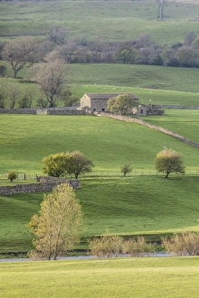 Barn Prints: Stone barn in the Yorkshire Dales National Park, Yorkshire, England, United Kingdom