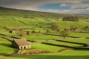 Farm Prints: Stone barns and dry stone walls in beautiful Wensleydale in the Yorkshire Dales National