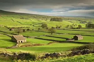 Farm Prints: Stone barns and dry stone walls in the rolling countryside of Wensleydale near Hawes