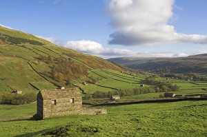 Swaledale Prints: Stone barns in Swaledale, near Keld, Yorkshire Dales National Park, Yorkshire