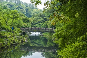 Stone bridge with flowers in Seogwipo, island of Jejudo, UNESCO World Heritage Site, South Korea, Asia