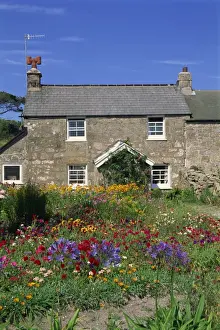 Scillies Prints: Stone cottage and colourful garden at New Grimsby on Tresco in the Scilly Isles