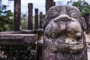 Royalty Prints: Stone guardian lion statue at the Audience Hall at Parakramabahus Royal Palace