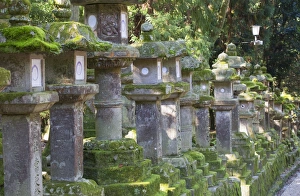 Stone lanterns at dusk at Kasuga Taisha Shrine, UNESCO World Heritage Site, Nara, Kansai, Japan, Asia