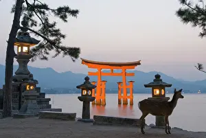 Torii Prints: Stone lanterns and fallow deer in front of the iconic torii at the Itsukushima Shrine