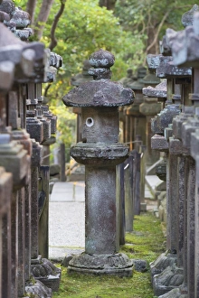 Kansai Prints: Stone lanterns at Kasuga Taisha Shrine at dusk