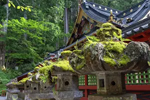 Nikko Prints: Stone lanterns line the path at Futarasan Temple in Nikko Tochigi Japan showcasing traditional design