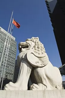 Images Dated 13th February 2008: A stone lion statue in the Central Business District business district, Beijing, China, Asia