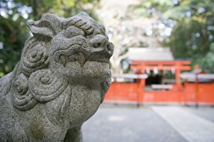 Lion Statue Prints: Stone lion statue, Yoshida Shrine, Kyoto, Japan, Asia