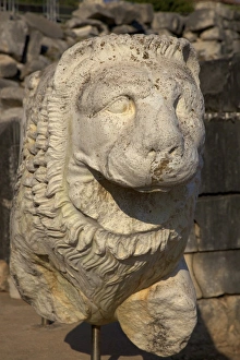 Greek Mythology Prints: Stone lion at Temple of Apollo, Didyma, Anatolia, Turkey, Asia Minor, Eurasia