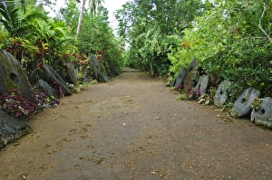 A stone money bank, Yap, Micronesia, Pacific