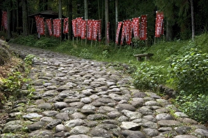 Images Dated 6th May 2009: Stone paving called ishidatami on old Tokaido Road in Shizuoka that once stretched from Tokyo to