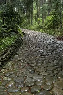 Images Dated 6th May 2009: Stone paving called ishidatami on old Tokaido Road in Shizuoka that once stretched from Tokyo to