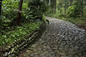 Japanese Gallery: Stone paving called ishidatami on old Tokaido Road in Shizuoka that once stretched from Tokyo to