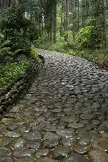 Stone paving called ishidatami on old Tokaido Road in Shizuoka that once stretched from Tokyo to Kyoto