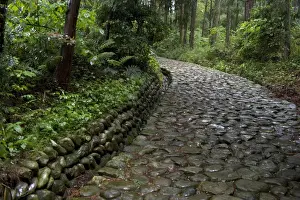 Walk Way Prints: Stone paving called ishidatami on old Tokaido Road in Shizuoka that once stretched from Tokyo to Kyoto