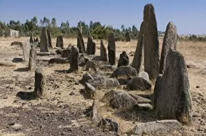 Images Dated 16th March 2008: Stone pillars of Tiya, UNESCO World Heritage Site, Ethiopia, Africa