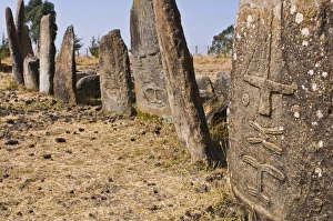 Images Dated 16th March 2008: Stone pillars of Tiya, UNESCO World Heritage Site, Ethiopia, Africa