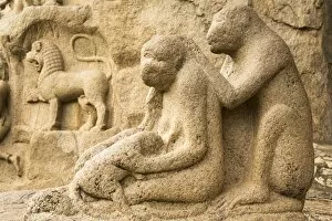 Images Dated 16th March 2008: A stone sculpture depicts a group of monkeys grooming close to Arjunas Penance within the ancient