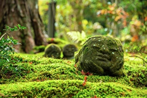 Aesthetic Prints: Stone statue in lush forest garden
