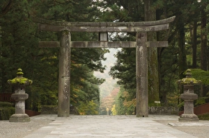 Nikko Prints: Stone Torii