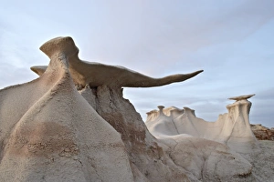 Images Dated 17th March 2009: The Stone Wings formations at dusk, Bisti Wilderness, New Mexico, United States of America