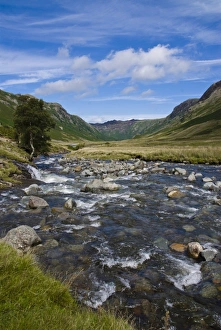 Stonethwaite Valley, Lake District, Cumbria, England, United Kingdom, Europe