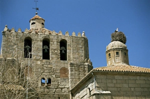 Old Castile Prints: Storks nest