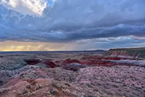 Storm Prints: Storm clouds gather over the landscape at Whipple Point in Petrified Forest National Park
