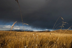 Images Dated 27th October 2009: Stormy sky over rangelands on the edge of the Tibetan Plateau in Sichuan Province