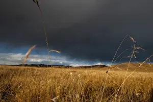 Stormy sky over rangelands on the edge of the Tibetan Plateau in Sichuan Province