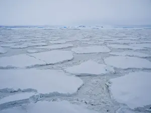 Polar Climate Prints: Stormy weather over pack ice and icebergs near Adelaide Island, Antarctica, Polar Regions