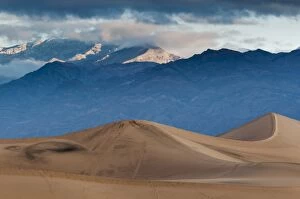 Images Dated 6th December 2010: Stovepipe Wells Sand Dunes, Death Valley National Park, California, United States of America
