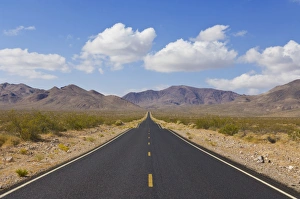 High Way Prints: Straight road, Daylight Pass road