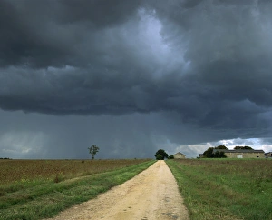 Overcast Skies Prints: Straight rural dirt road through farmland near Le Mans, overcast stormy sky