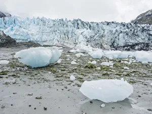 Stranded ice on the low tide in front of Lamplugh Glacier, Glacier Bay National Park