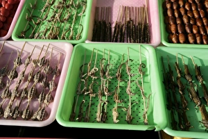 Snack Prints: Strange food for sale in Wangfujing Snak Road, Wangfujing Dajie shopping district