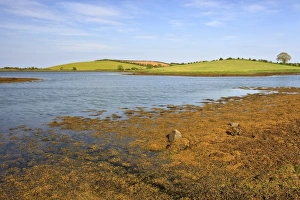 Images Dated 28th May 2009: Strangford Lough, County Down, Ulster, Northern Ireland, United Kingdom, Europe