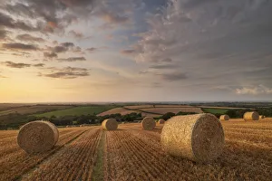 Cultivated Prints: Straw bales at sunset in rural Devon, Livaton, Devon, England, United Kingdom, Europe