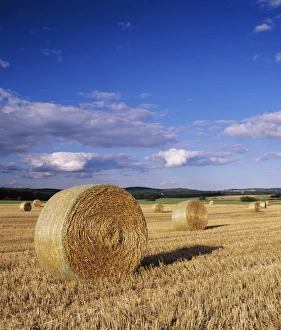 Images Dated 23rd July 2008: Straw bales, Swabian Alb, Baden Wurttemberg, Germany, Europe